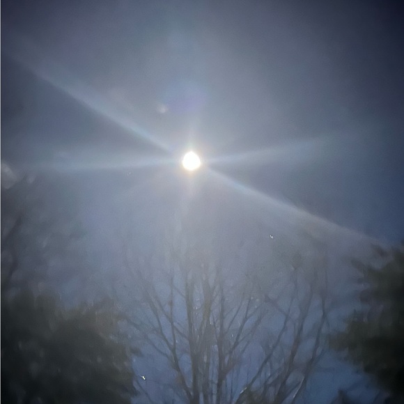 Meet your Posher, Helene - Picture 1 of 1